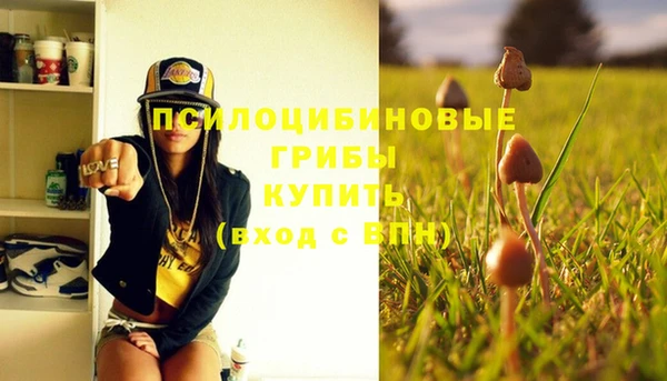 МДМА Коряжма